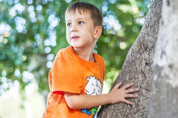 Симпатичный Кавказский Голубоглазый Ребенок Оранжевой Футболке Взбирающийся Дерево Парке Лесу — стоковое фото