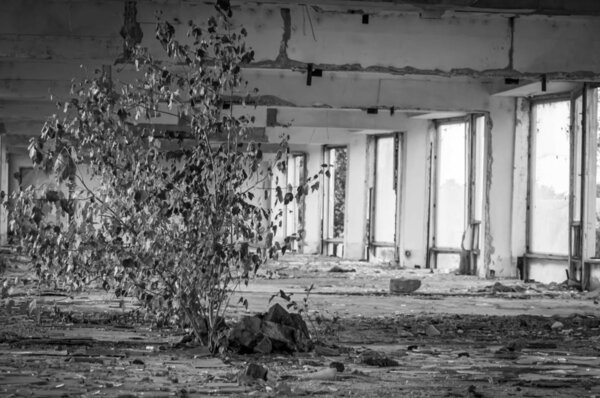 BENDER, TRANSNISTRIA, MOLDOVA. August 24, 2019. The interior of the Soviet-time abandoned river station building on the bank of the Dniester river. It was deserted and neglected in the early 1990s.