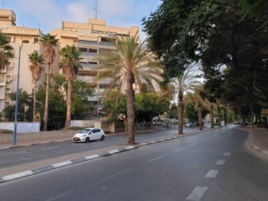 HOLON, ISRAEL. September 30, 2020. A view of Yehoshua Rabinovich street, a typical Israeli street of Israel town Holon, asphalt road with palm trees on the side and car traffic.