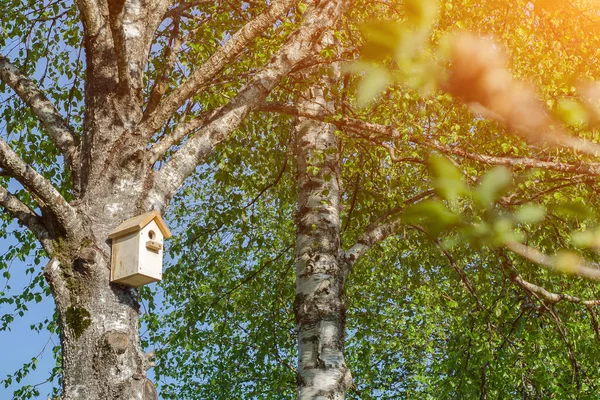 Fågelhus Hängande Från Trädet Med Ingångshålet Form Cirkel — Stockfoto