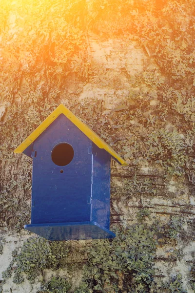 Ağaçtan Sarkan Kuş Evi Giriş Deliği Daire Şeklinde — Stok fotoğraf