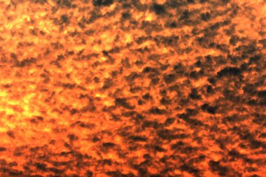 Mevsimlik lav çatlamak çimento duvar arka plan. Yakın çekim.