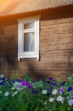 Avrupa Windows ahşap kepenkleri eski ev doku açık havada dış.