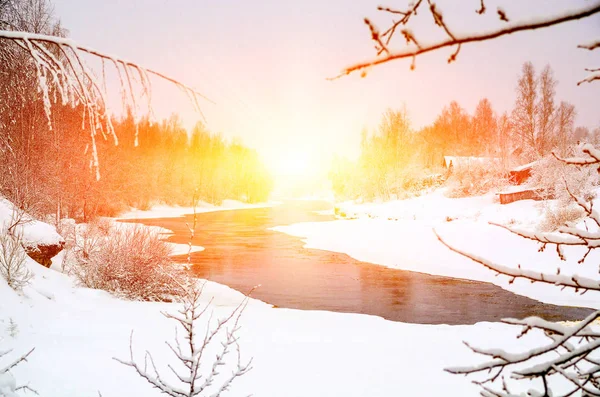 Zima Las Nad Rzeką Zachodzie Słońca Kolorowy Krajobraz Ośnieżonych Drzew — Zdjęcie stockowe