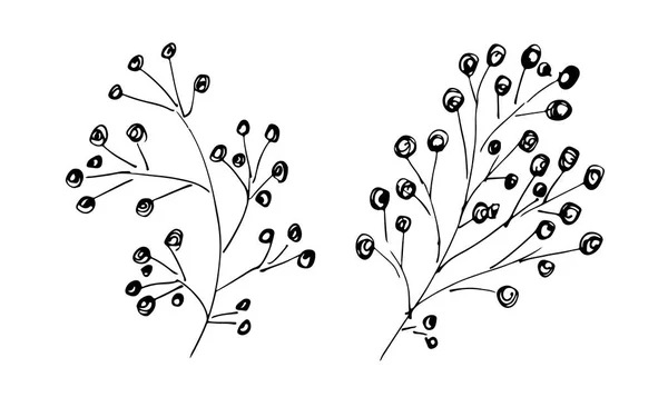 Vetor desenhado à mão Ilustrações de abstrato Conjunto de folhas Isoladas sobre Branco. Desenho desenhado à mão de umas folhas — Vetor de Stock