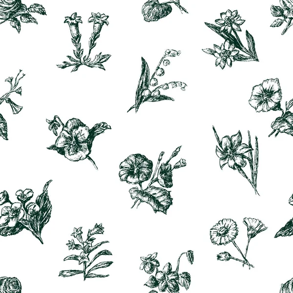 Візерунок Ескізів Різних Квітів — стоковий вектор