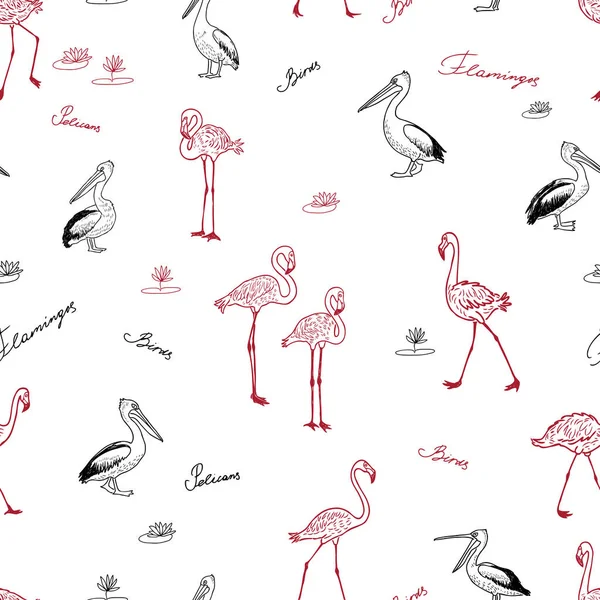 Naadloze Achtergrond Van Getekende Flamingo Pelikanen — Stockvector