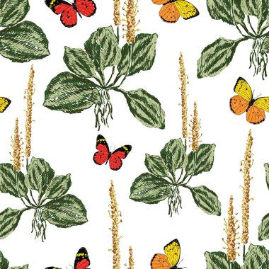 Vektör arka plan muz ve kelebekler