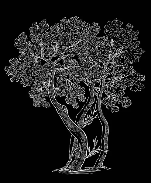 装飾的なオークの木のベクトル画像 — ストックベクタ