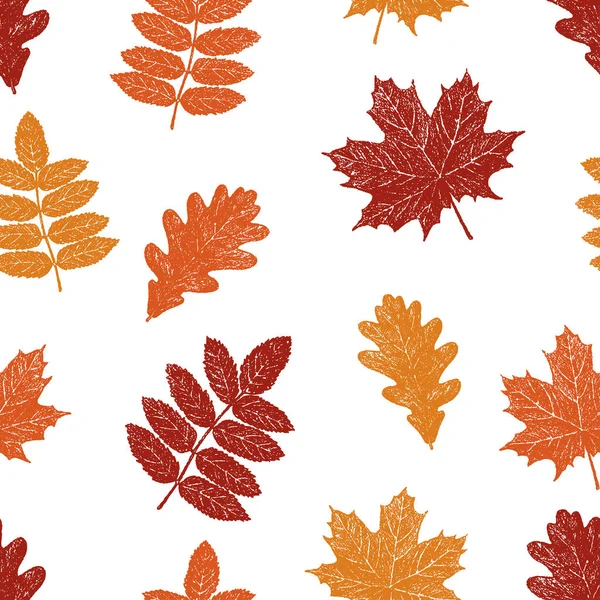 Vector Patroon Van Herfst Bomen Laat — Stockvector