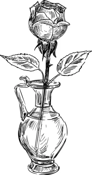 Croquis Une Rose Dans Vase Verre — Image vectorielle