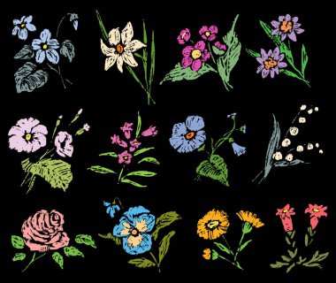 Çeşitli çiçek çizimleri bir dizi