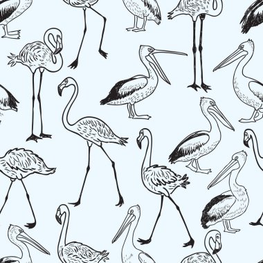 çizgi film Pelikan ve flamingolar seamless modeli