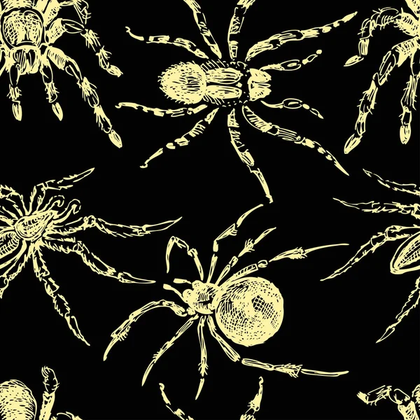 Achtergrond Van Schetsen Van Giftige Spinnen — Stockvector