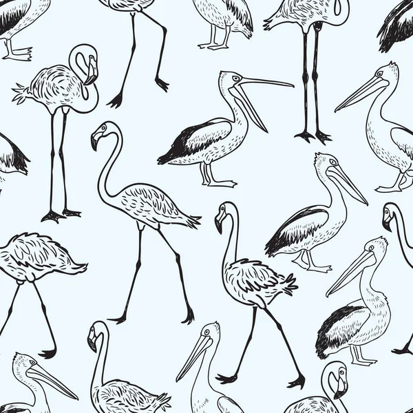 Çizgi Film Pelikan Flamingolar Seamless Modeli — Stok Vektör