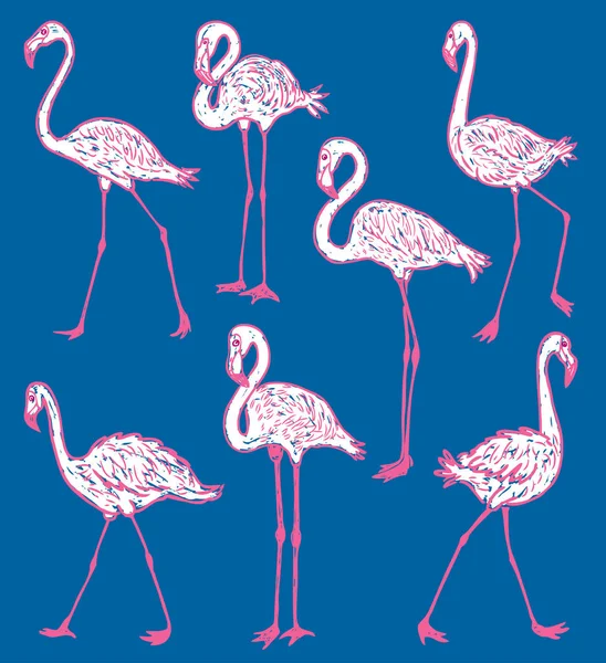 Vector Afbeelding Van Cartoon Van Roze Flamingo — Stockvector