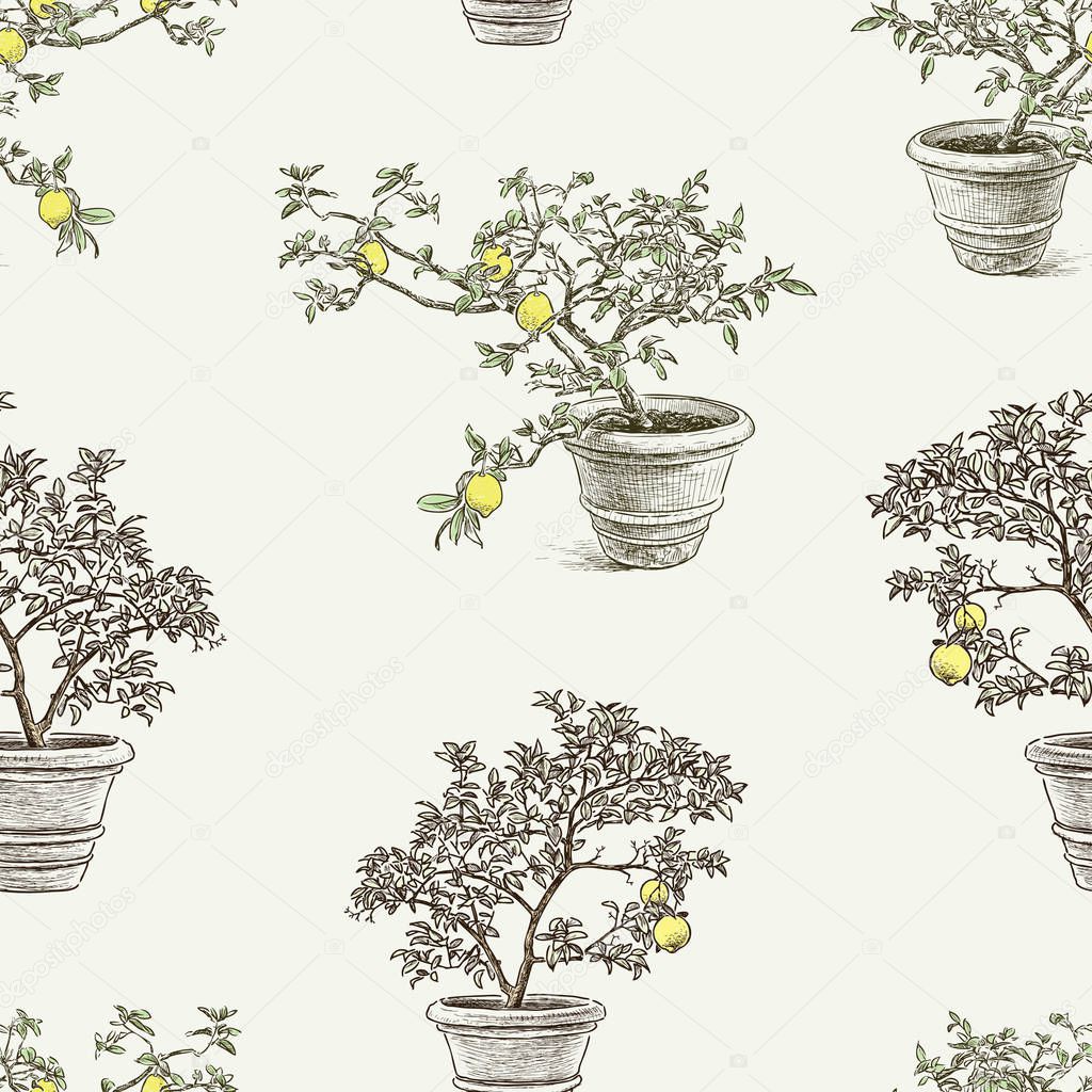 Seamless pattern of lemon trees in the flowerpots