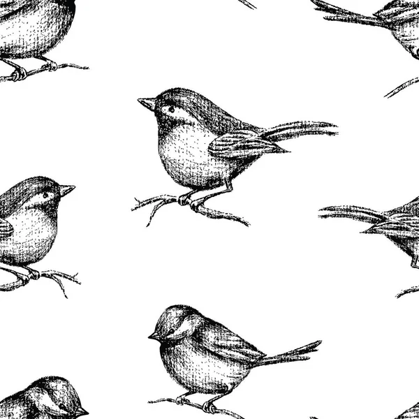 描かれた小鳥のパターン — ストックベクタ