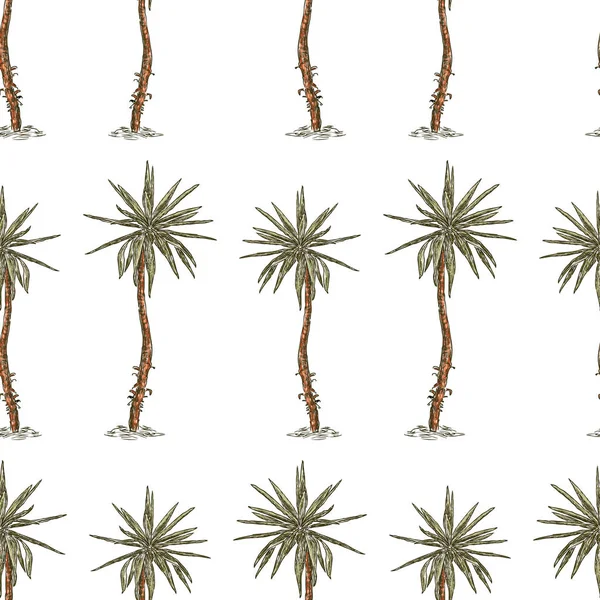 Modèle Sans Couture Palmiers Dessinés — Image vectorielle