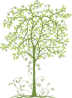 Dekoratif yaprak döken ağaç