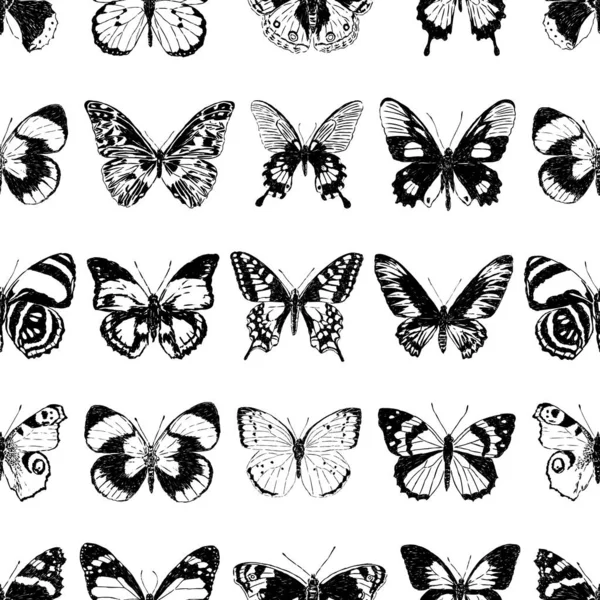 Fondo Sin Costuras Diferentes Mariposas Dibujadas — Vector de stock