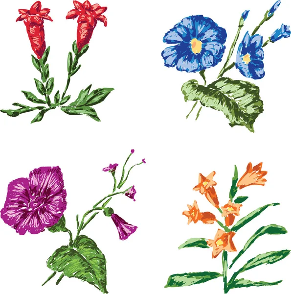 Conjunto Diferentes Flores Silvestres Dibujadas — Archivo Imágenes Vectoriales