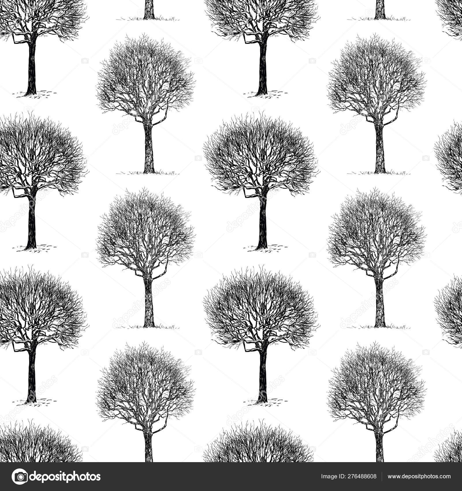 Seamless Pattern Sketches Deciduous Trees Winter Vector Image By C Mubaister Gmail Com Vector Stock