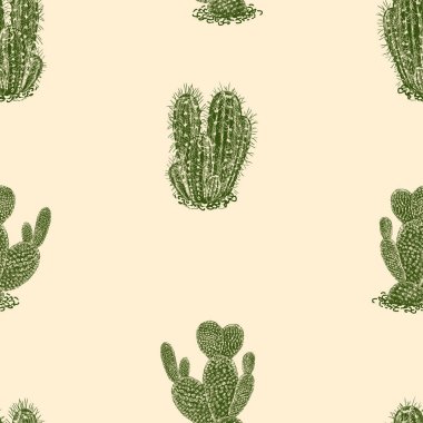 Çizilmiş tropikal kaktüslerin dikişsiz arka planı