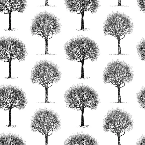 Бесшовный Рисунок Эскизов Лиственных Деревьев Зимой — стоковый вектор