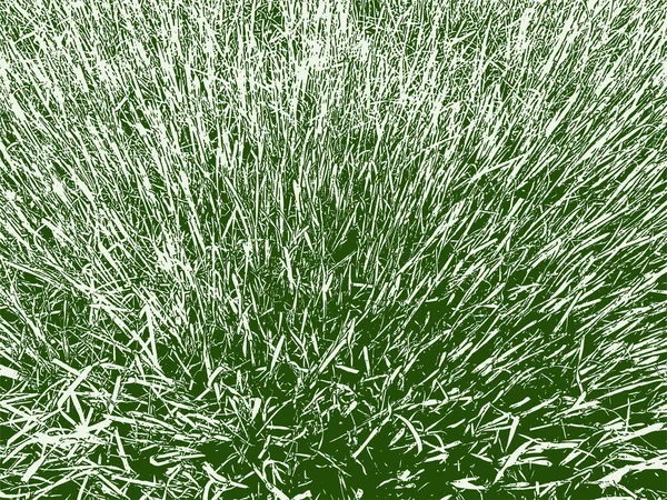 Vektor Bakgrund Från Grönt Gräs Sommarängen — Stock vektor