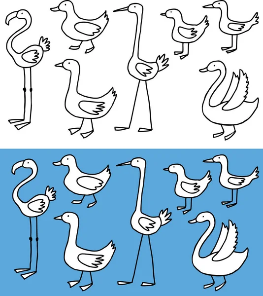 Vector Afbeelding Van Set Verschillende Cartoon Watervogels — Stockvector