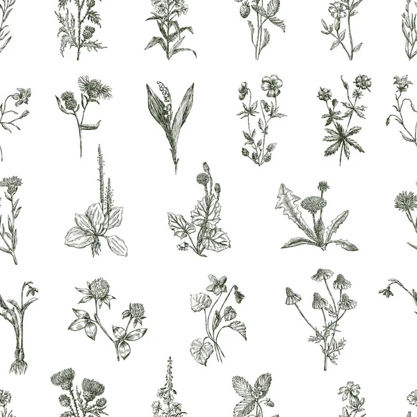 Nahtloses Muster Von Skizzen Verschiedener Wildblumen — Stockvektor
