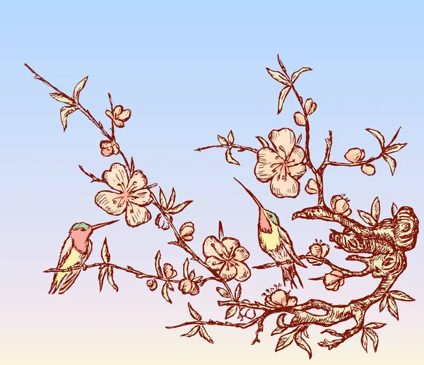 Ilustración Vectorial Dos Colibríes Sentados Ramas Floreciendo Cerezo — Archivo Imágenes Vectoriales