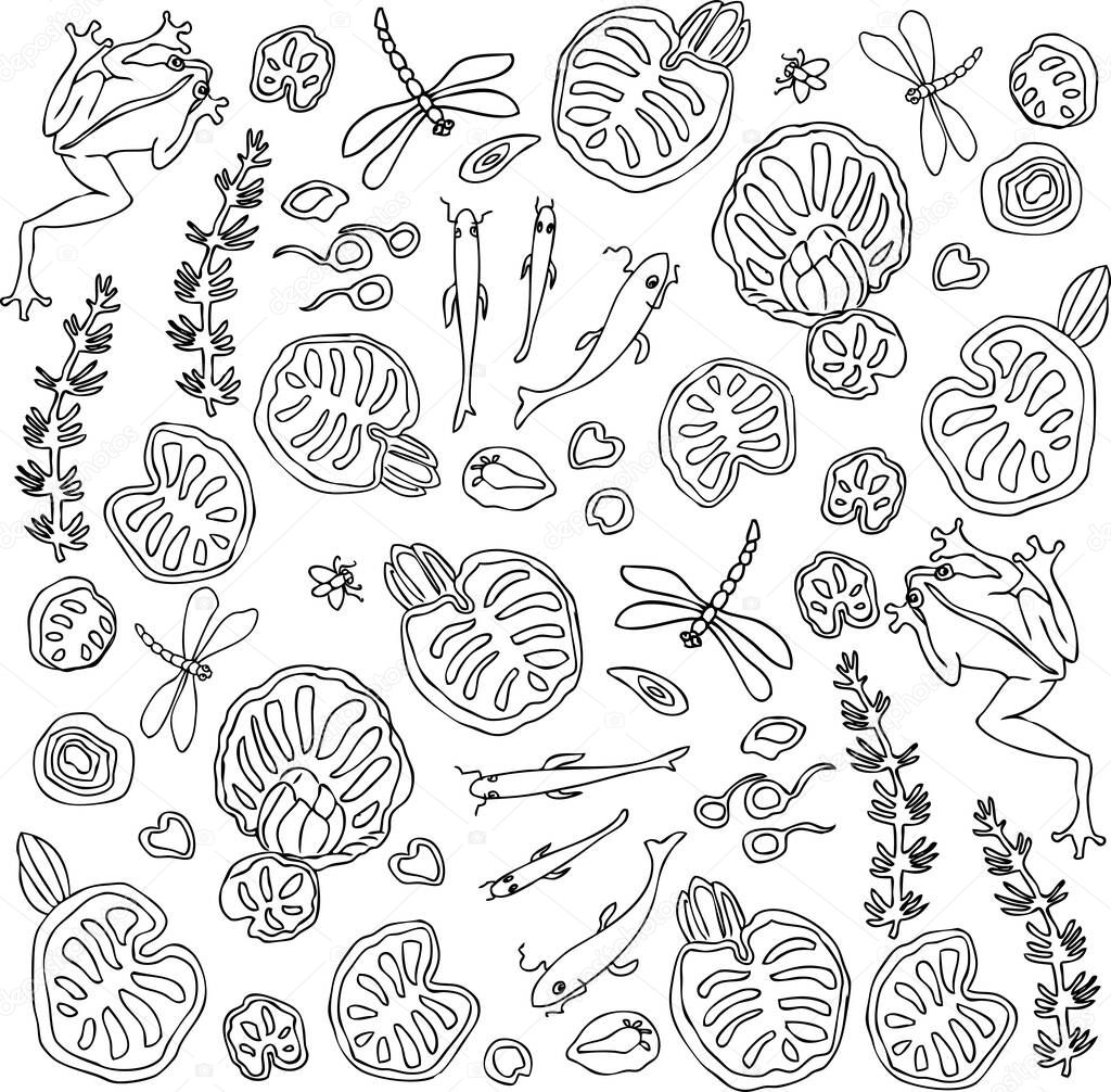 Contour drawings of plants and animals in forest lake