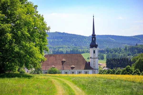 View to Cunewalde — Stock Photo, Image