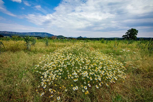 Uitzicht over de velden naar Zirkelstein rots — Stockfoto