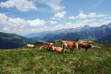 Avusturya 'da Isskogel zirvesi Gerlos
