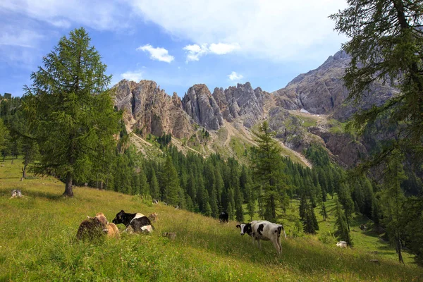 Góra Latemar w Dolomitach, Włochy Zdjęcie Stockowe