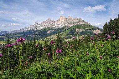 Latemar Dağı'ndan Catinaccio Rosengarten masifinin görünümü. Dolomites, İtalya