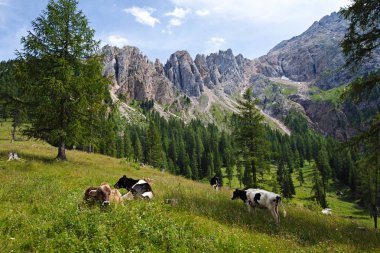 Dolomites'teki Latemar Dağı, İtalya