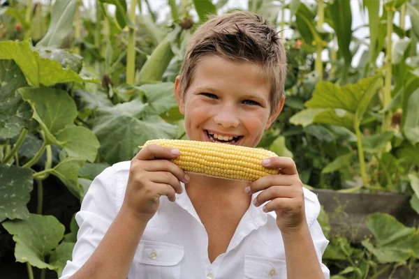 Boy emotions eats corn in summer outdoors.