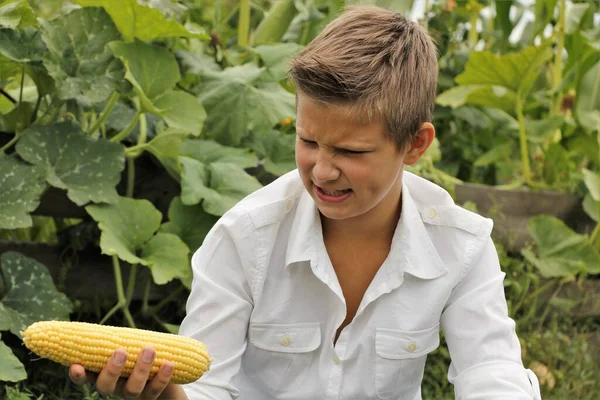 Boy Emotions Eats Corn Summer Outdoors — Stock Photo, Image