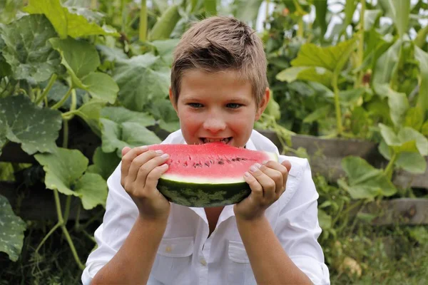 Schöne Junge Isst Wassermelone Der Natur Sommer Emotionen — Stockfoto