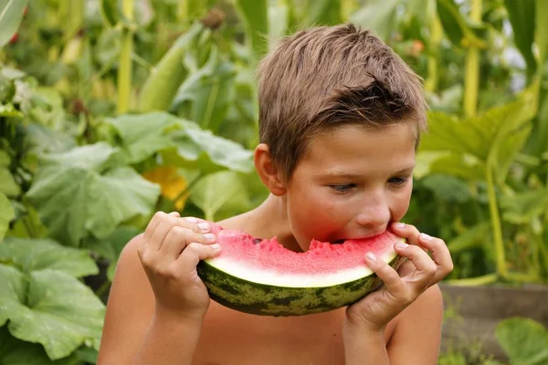 Boy Eats Watermelon Summer Nature — Stock Photo, Image