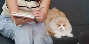 Genç bir kadın kanepede oturup kedisi yanında uzanırken not defterine notlar yazarak huzurlu bir atmosfer yaratıyor..