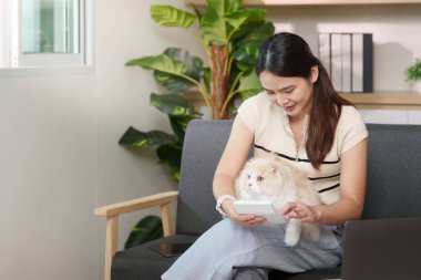 Genç bir kadın kanepede, elinde akıllı bir telefonla rahatlar ve rahat bir oturma odasında tüylü kedisiyle vakit geçirir..