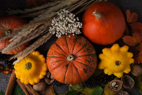 Autumn vegetables, fallen leaves, nuts and pumpkins on a wooden background, Thanksgiving day concept