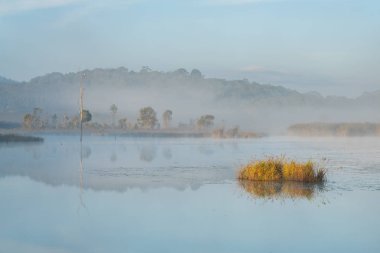 Sabah sis asmak düşük göl kışın yaban hayatı koruma parkında Tayland