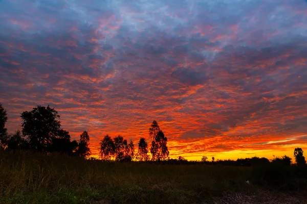 Morning fire sky and scattered clouds with trees and agricultural field as silhouette foreground