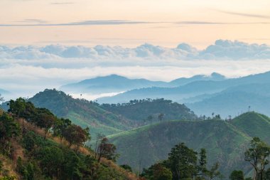Üstünde güzel düşük bulutlar ile dağ manzara ve orman ağaç çeşitliliği karmaşıklığı